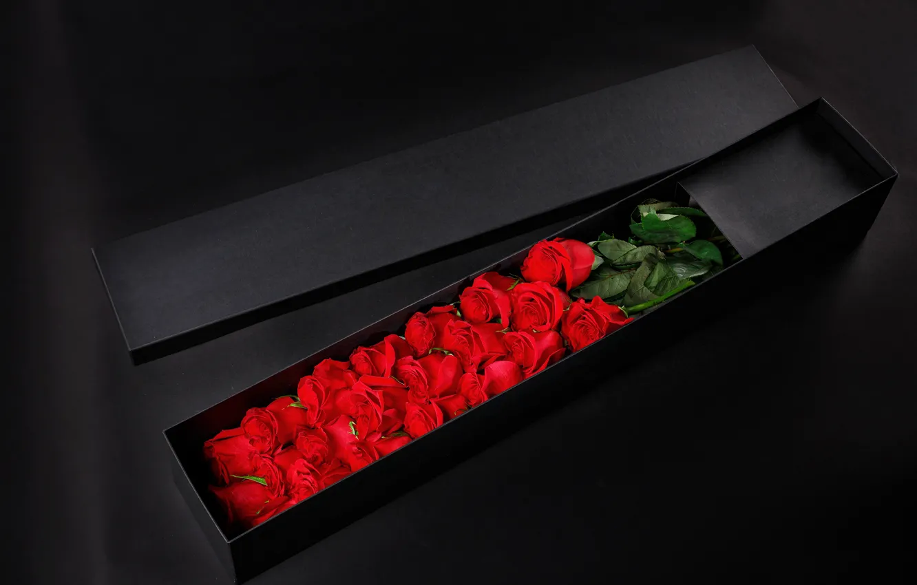Фото обои фон, коробка, розы, красные