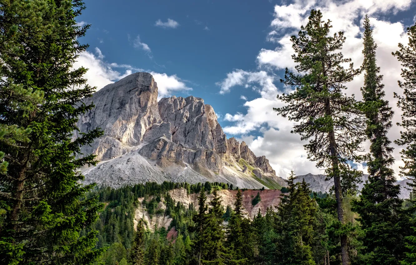 Фото обои лес, небо, облака, деревья, горы, природа, скалы, Италия