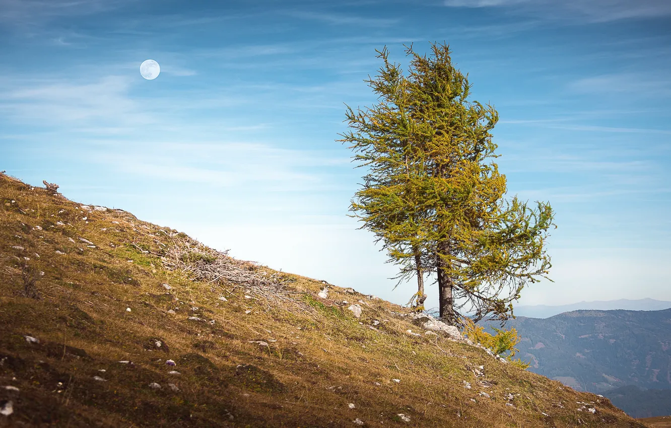 Фото обои осень, небо, облака, деревья, горы, голубой, холмы, луна