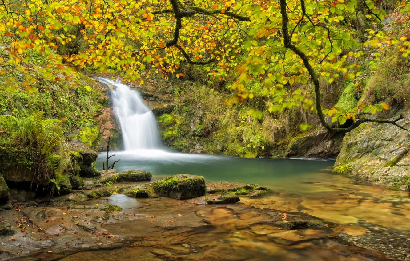 Фото обои осень, лес, река, водопад
