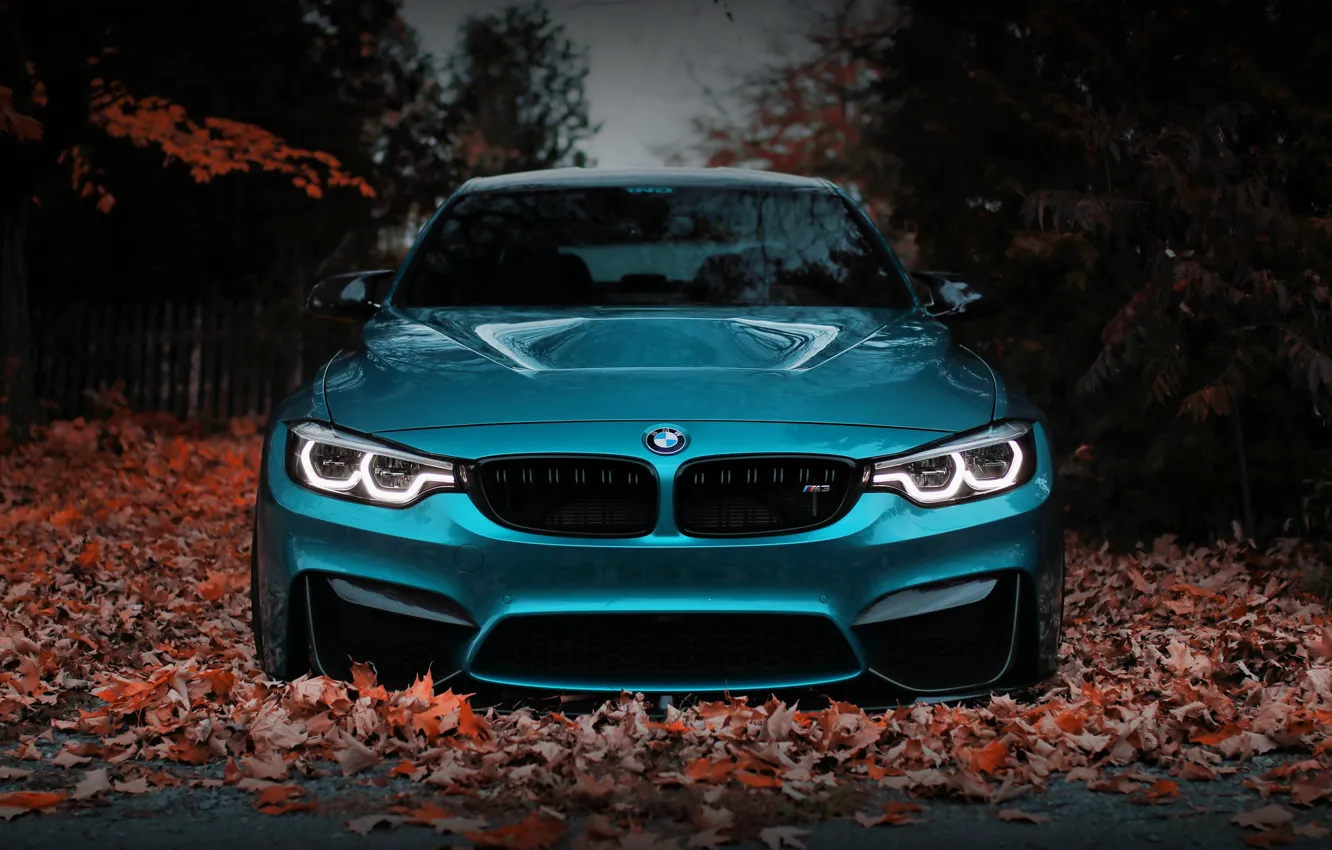 Фото обои BMW, Blue, Front, Autumn, Face, F80, Sight