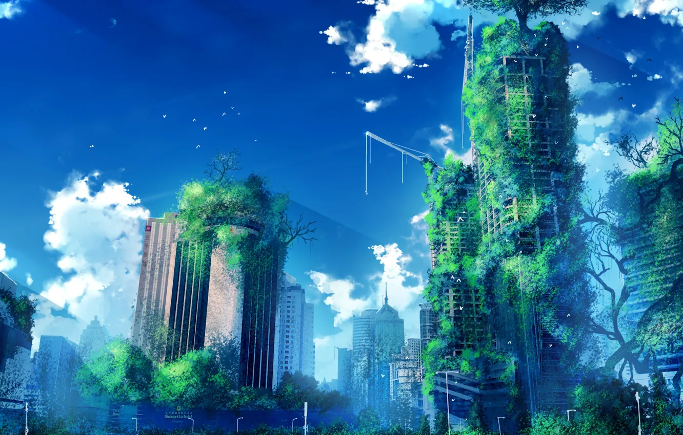 Фото обои зелень, небо, птицы, город, заброшен, by anonamos