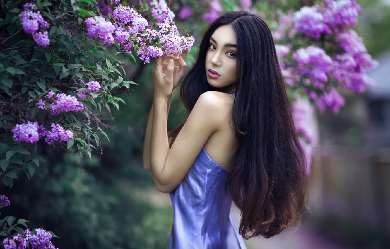 Фото обои лето, девушка, цветы, природа, куст, платье, брюнетка, азиатка