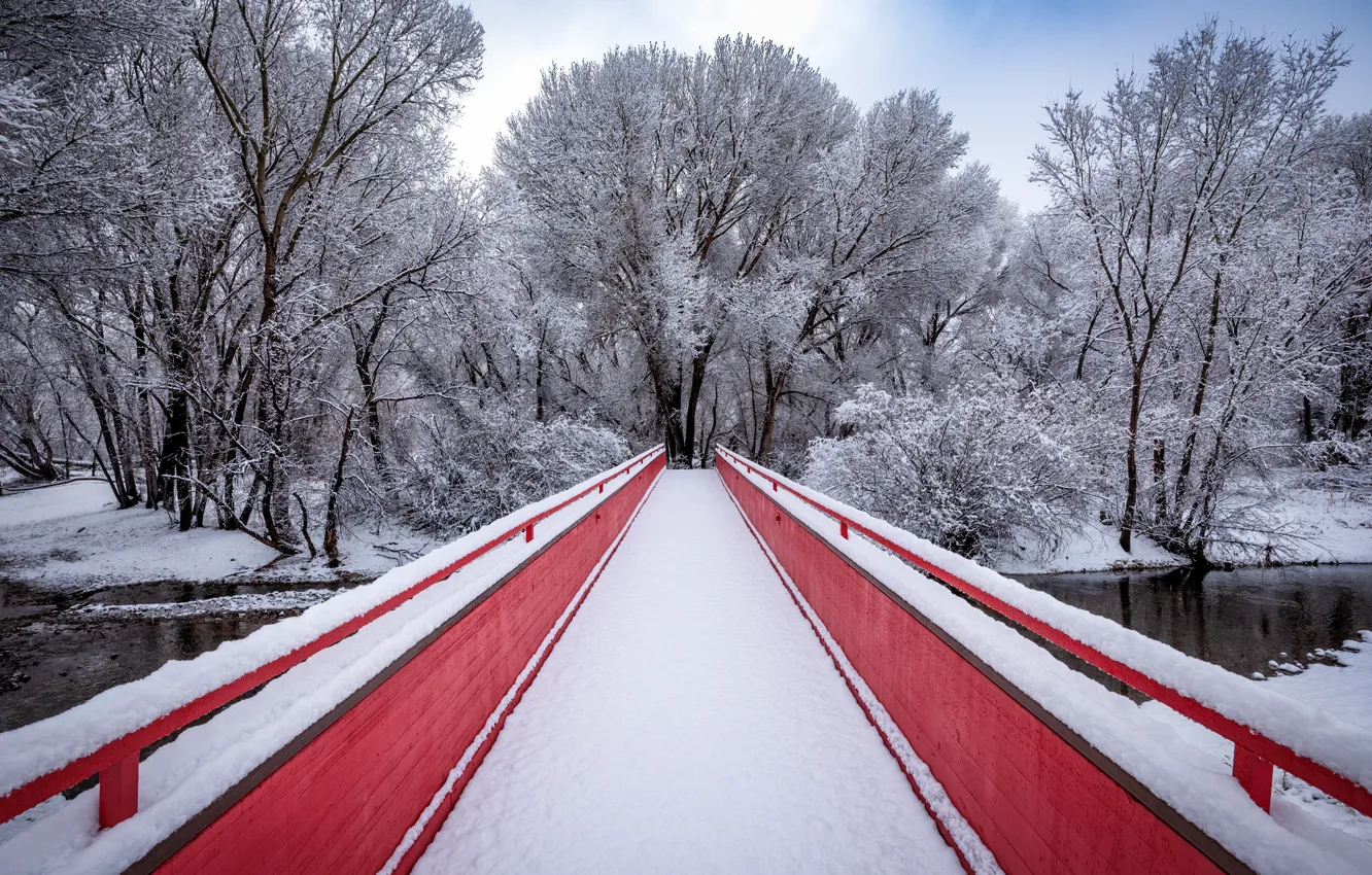 Фото обои зима, мост, парк