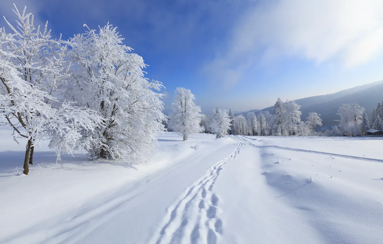 Фото обои зима, небо, облака, снег, деревья, пейзаж, горы, природа