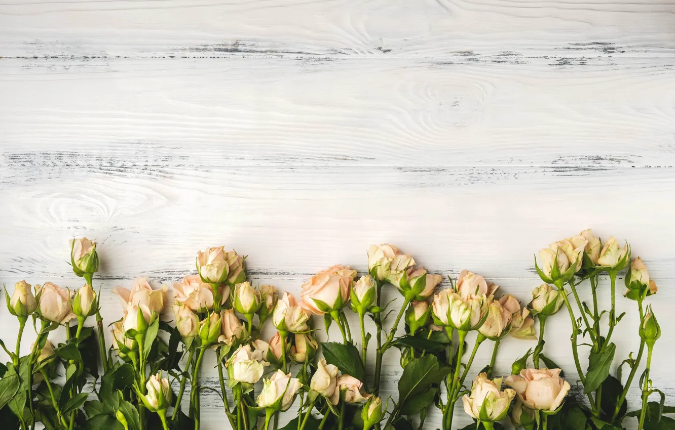 Фото обои фон, розы, букет, wood, Yuliya Taler