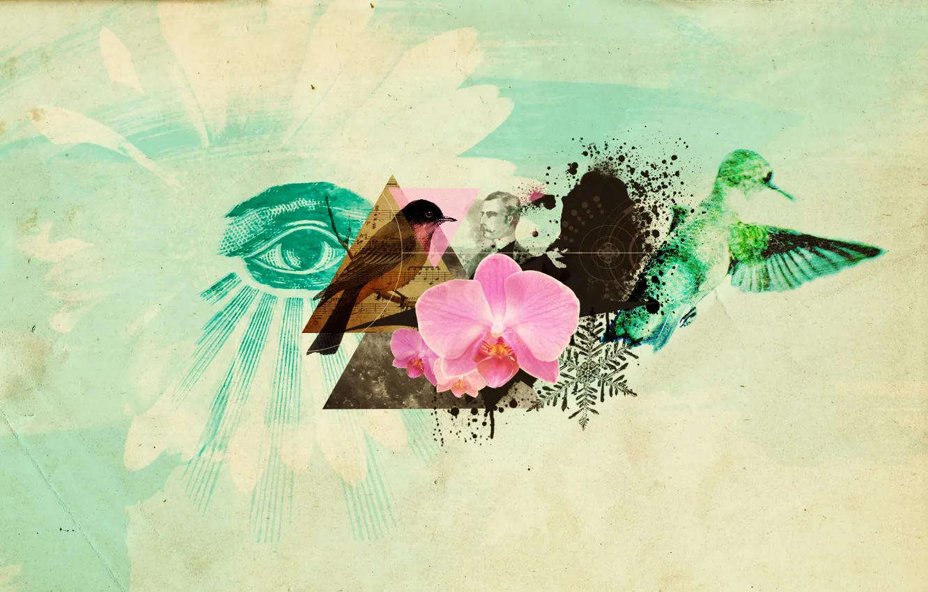 Фото обои цветок, птицы, глаз, коллаж, Абрстракция