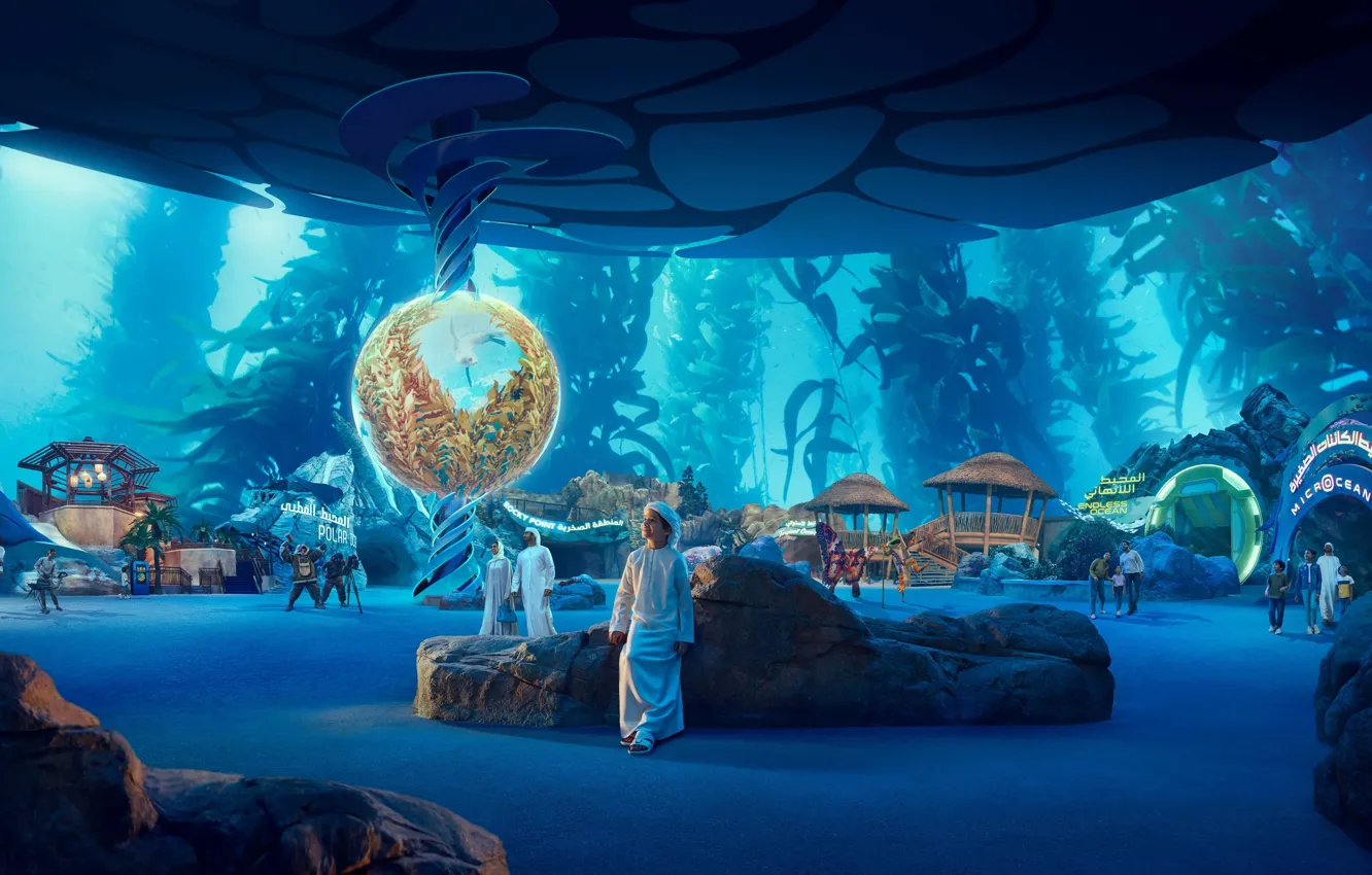 Фото обои Abu Dhabi, Интерьер, Абу-Даби, Тематический парк, SeaWorld, Морской мир