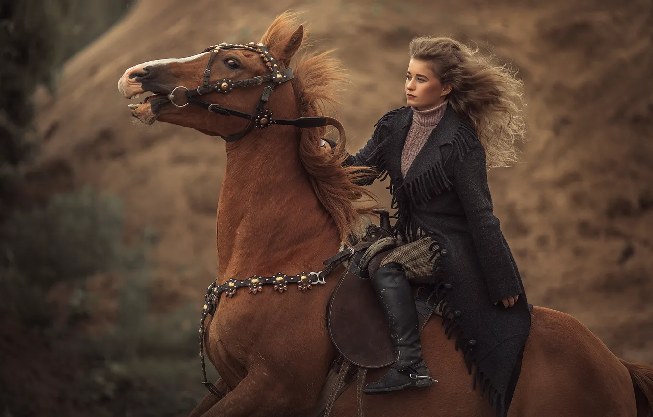 Фото обои девушка, конь, лошадь, наездница, галоп, скакун