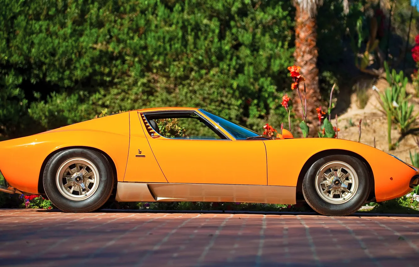 Фото обои Авто, Lamborghini, Машина, Оранжевый, Ресницы, 1971, Фары, Автомобиль