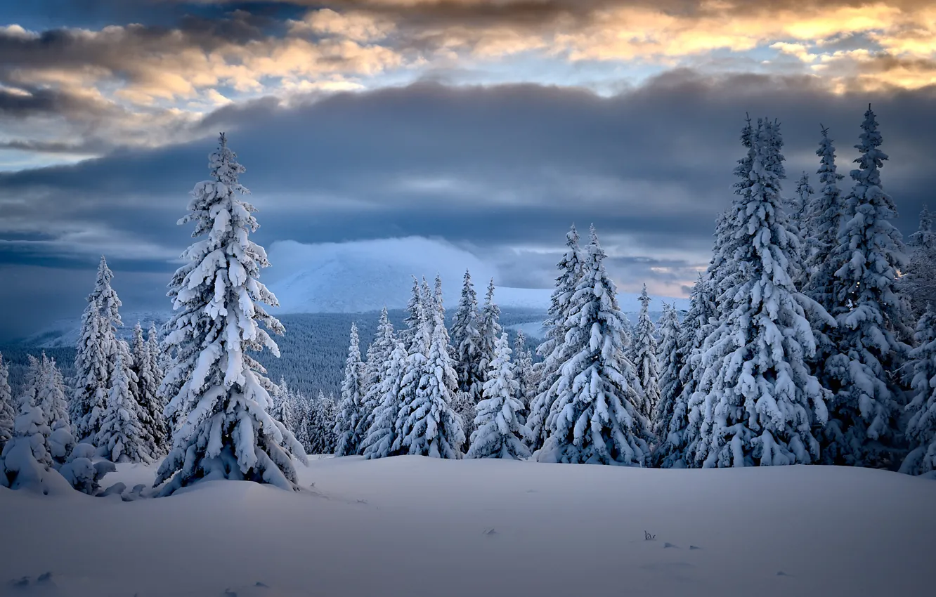 Фото обои зима, облака, снег, деревья, пейзаж, природа, тайга, Башкортостан