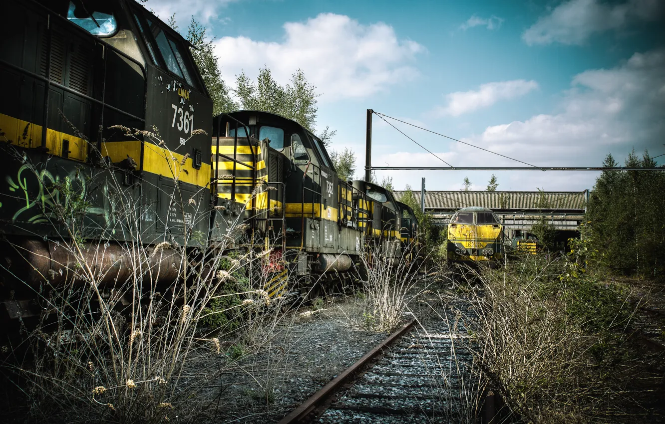 Фото обои трава, рельсы, поезд, вагоны, железная дорога, сухая