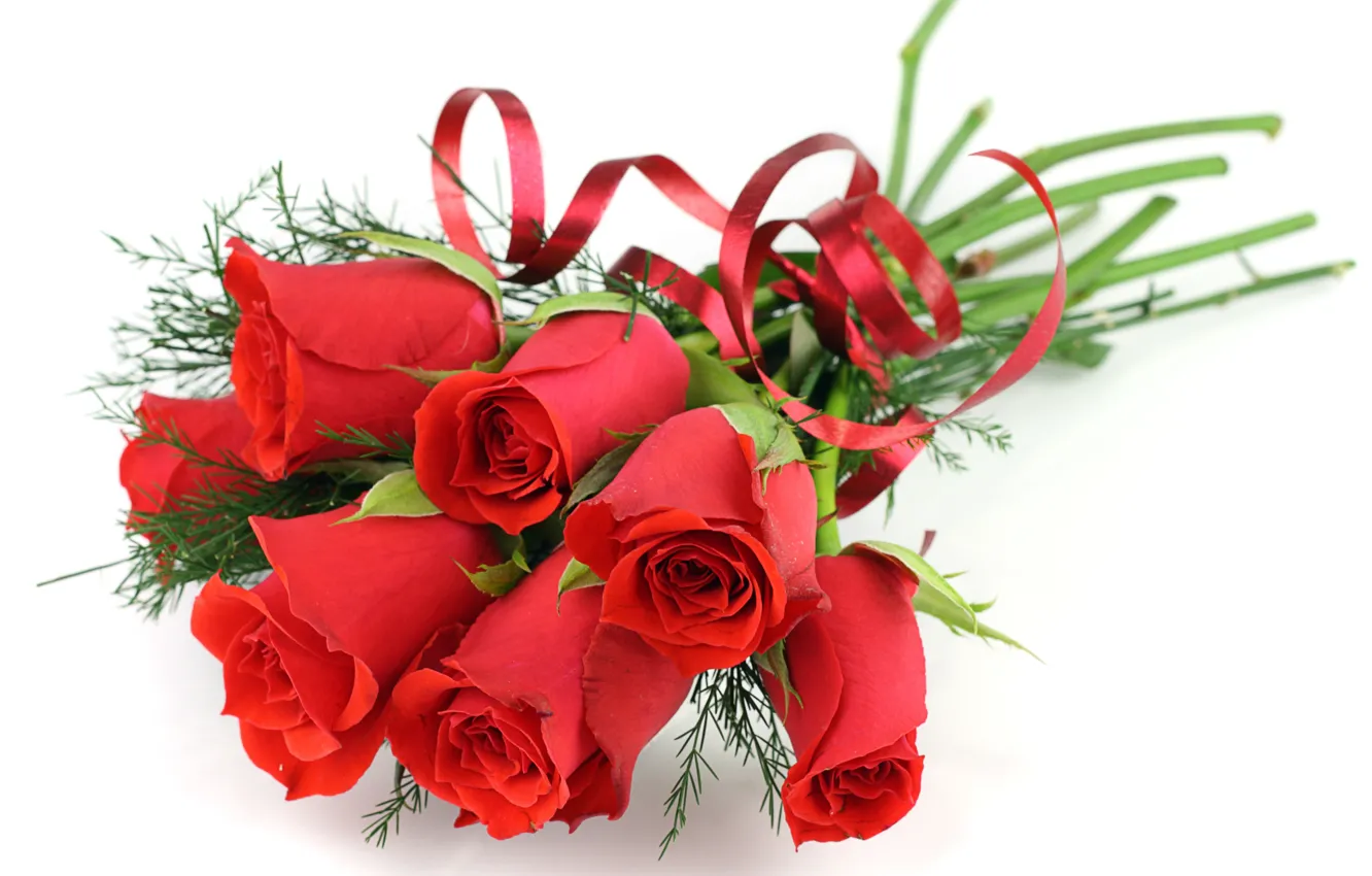 Фото обои цветы, розы, букет, красные, белый фон, ленточка