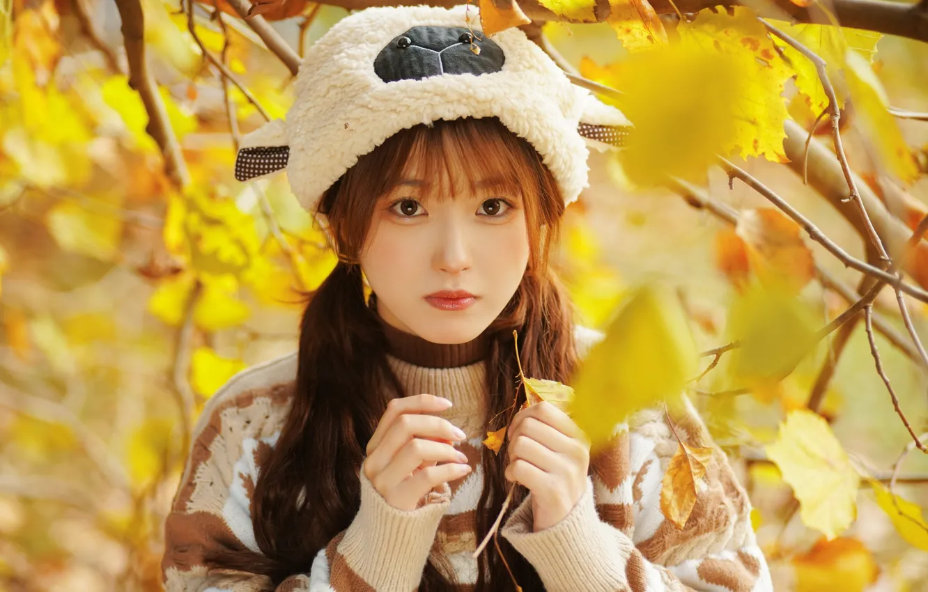 Фото обои Fall, Beautiful, Asian, Model, Woman, Pretty, Japanese, Sweater