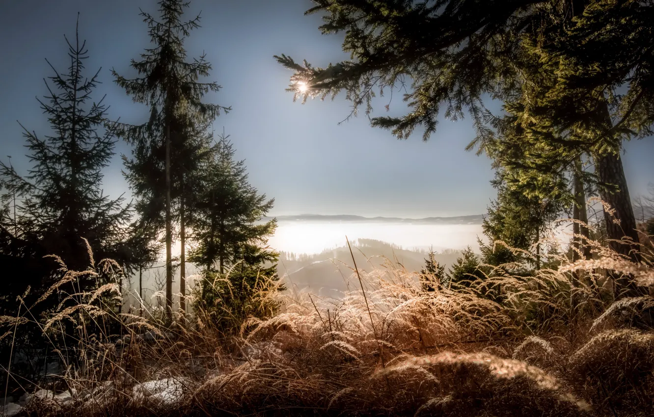 Фото обои горы, природа, утро