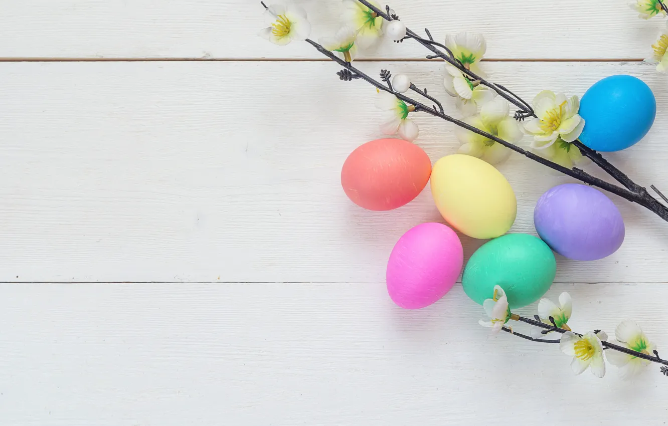 Фото обои цветы, весна, Пасха, wood, flowers, spring, Easter, eggs