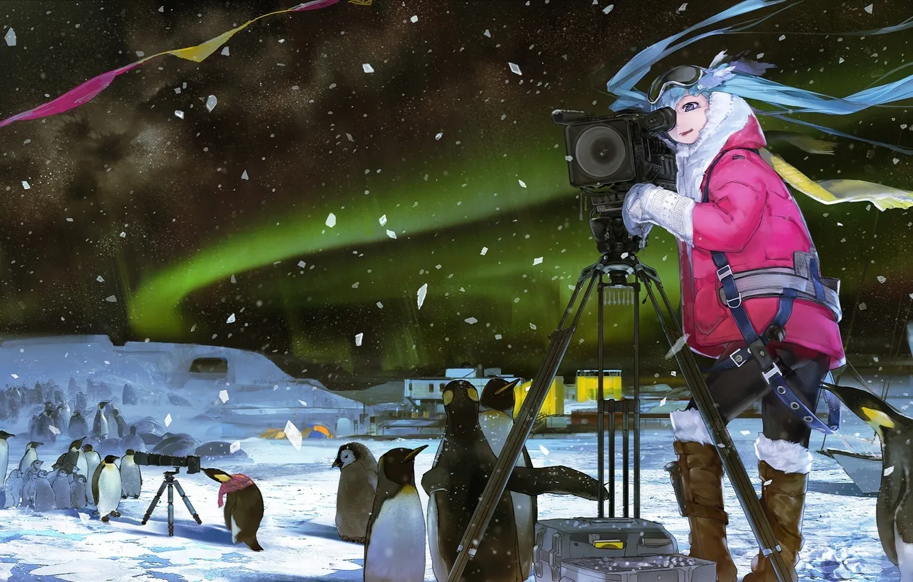 Фото обои лед, девушка, ночь, северное сияние, камера, пингвины, vocaloid, вокалоид