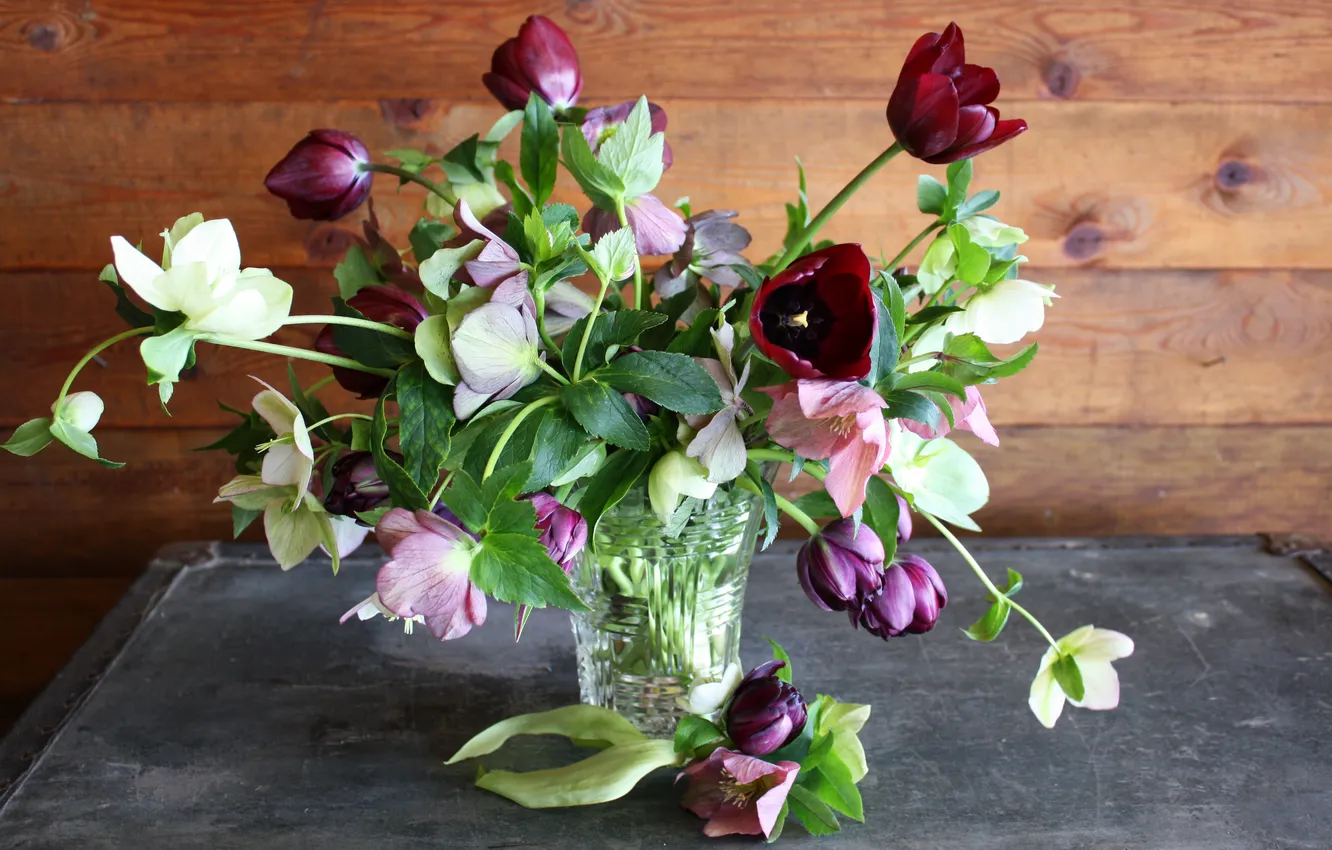 Фото обои цветы, фото, букет, тюльпаны, ваза, морозник