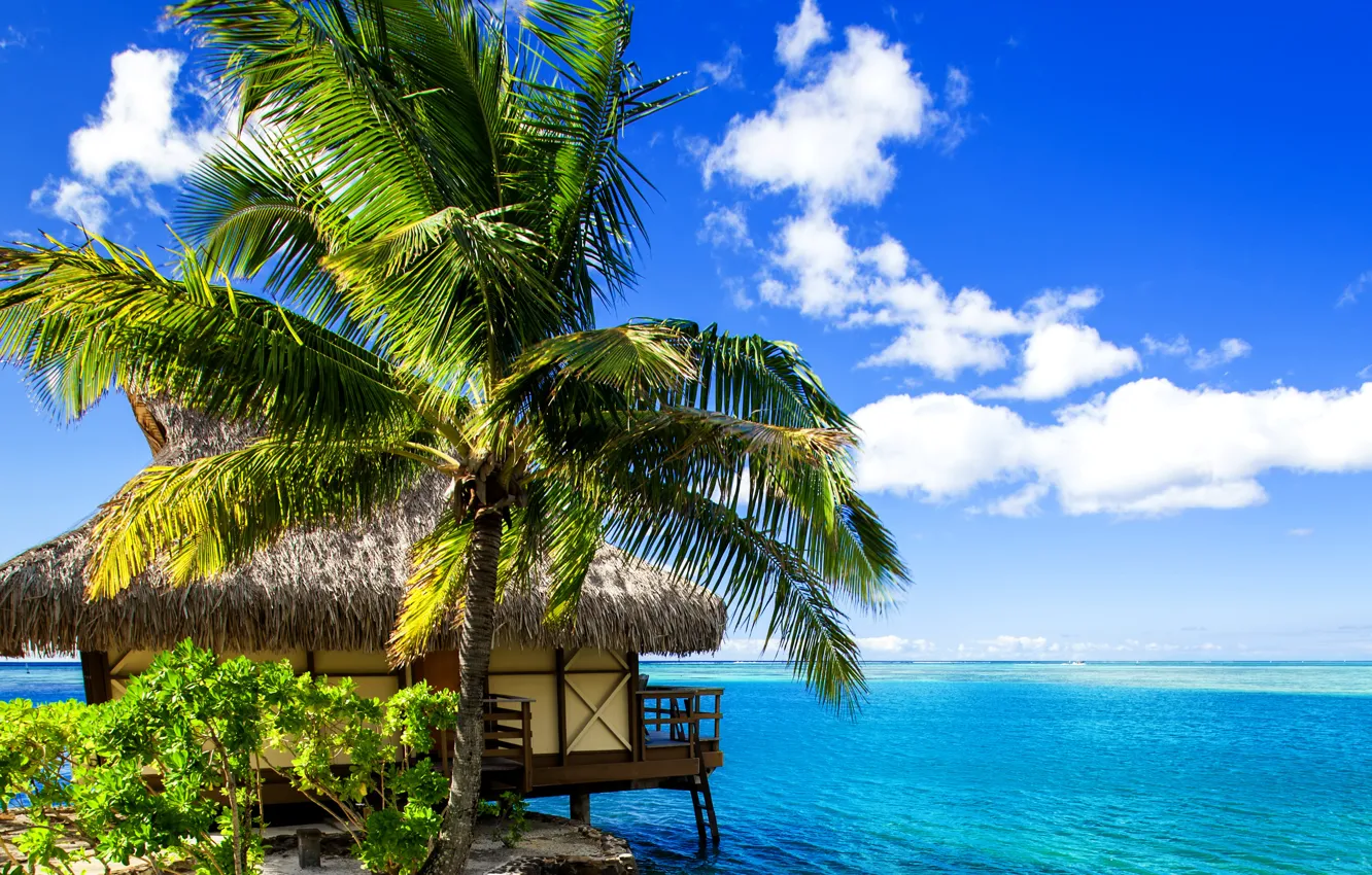 Фото обои песок, море, тропики, пальмы, берег, бунгало, Bora-Bora, Французская Полинезия