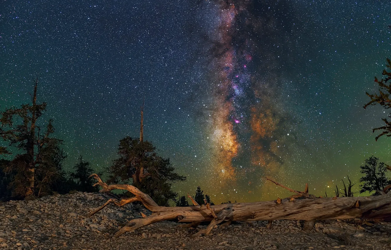 Фото обои пейзаж, ночь, природа, красота, бревно, Milky Way