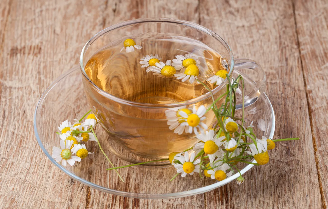 Фото обои чай, ромашка, напиток, цветки