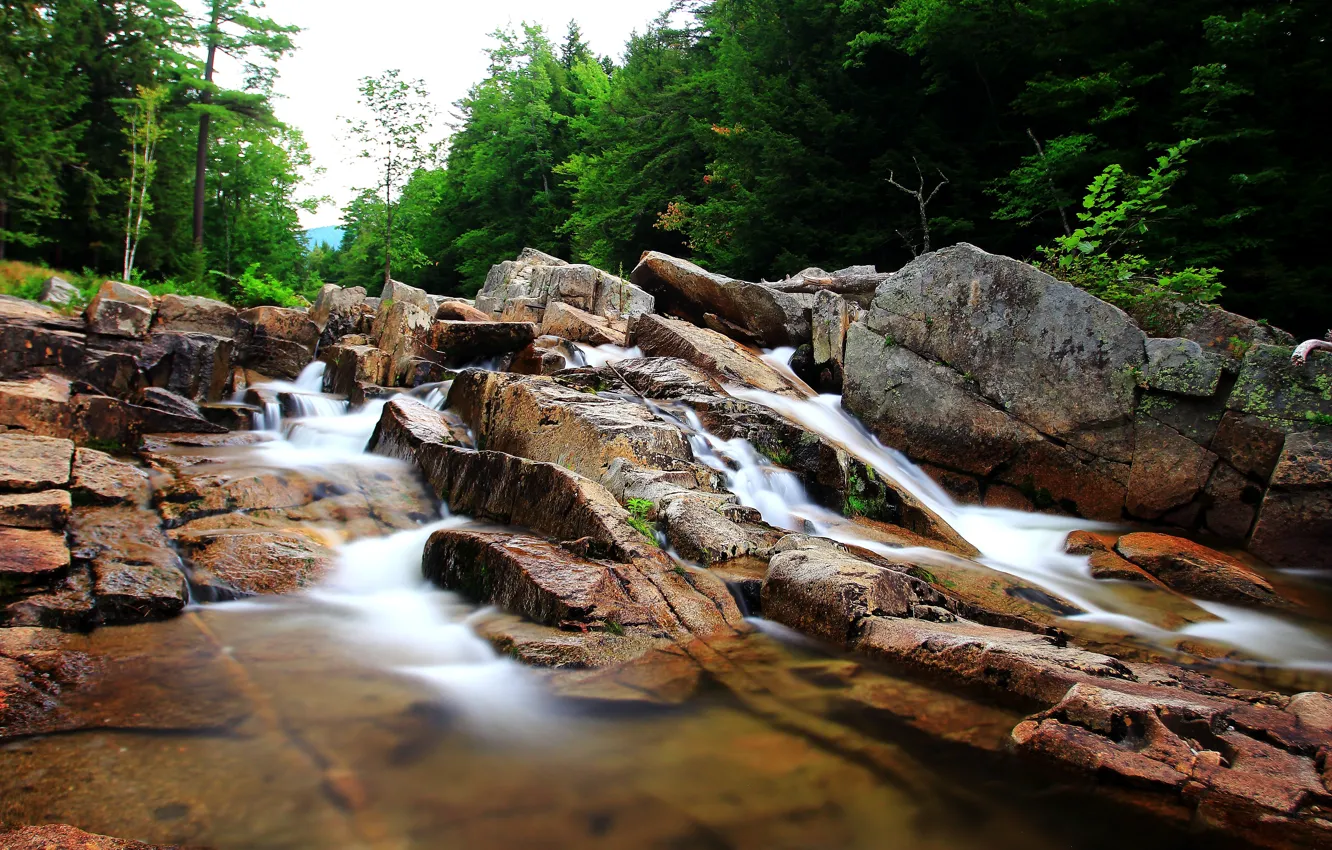 Фото обои Поток, Камни, Nature, Речка, River, Flow