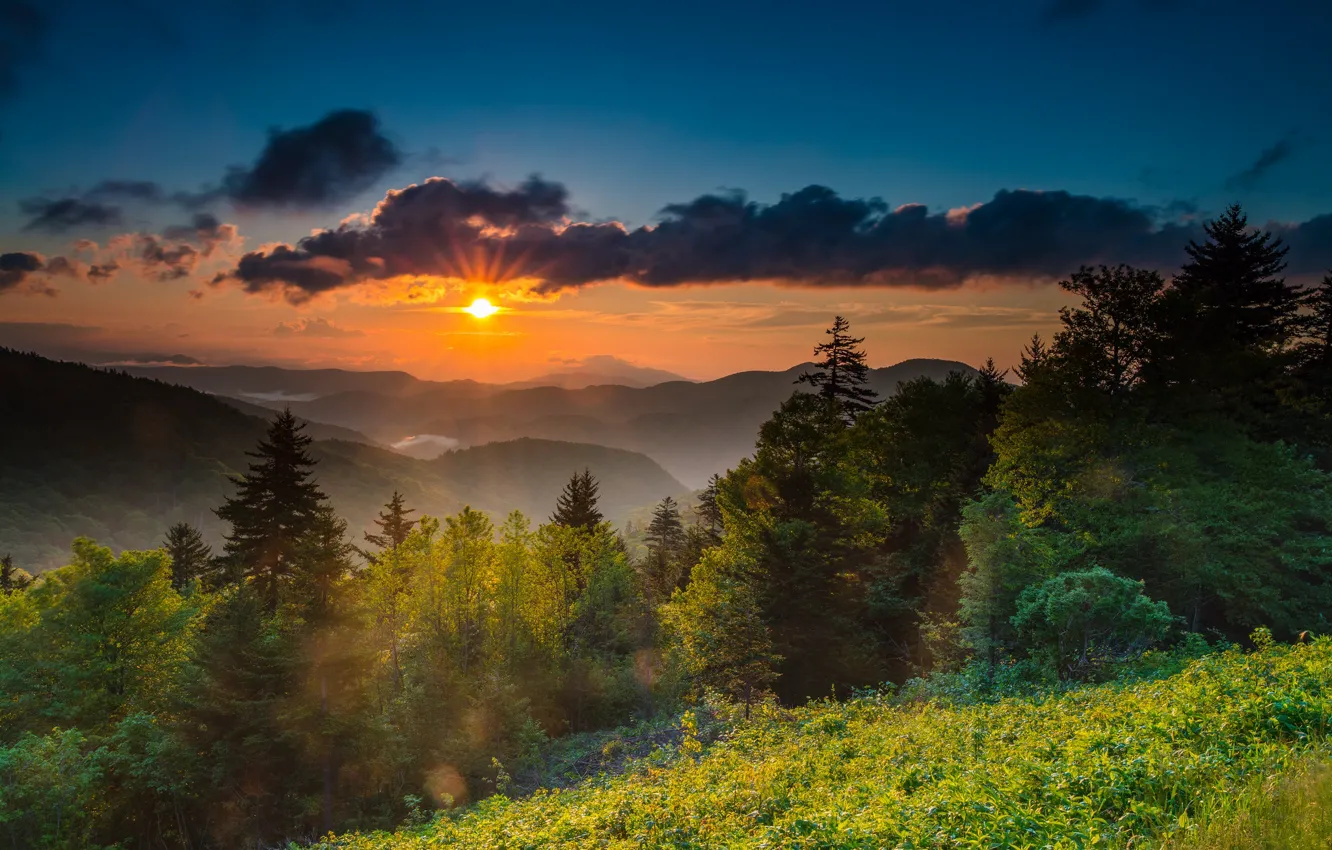 Фото обои рассвет, утро, США, Северная Каролина, гора Митчелл