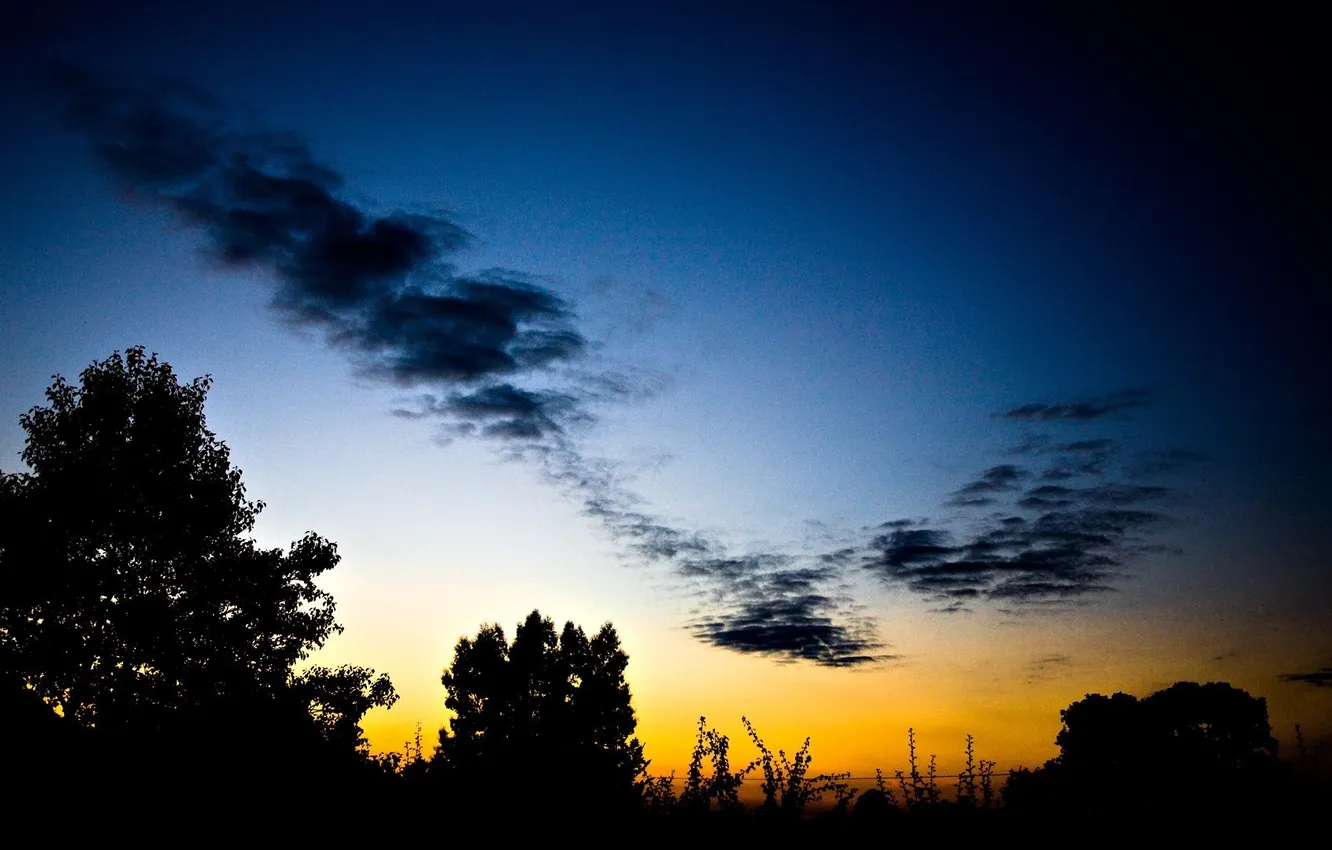 Фото обои небо, деревья, пейзаж, закат, природа, тень, вечер