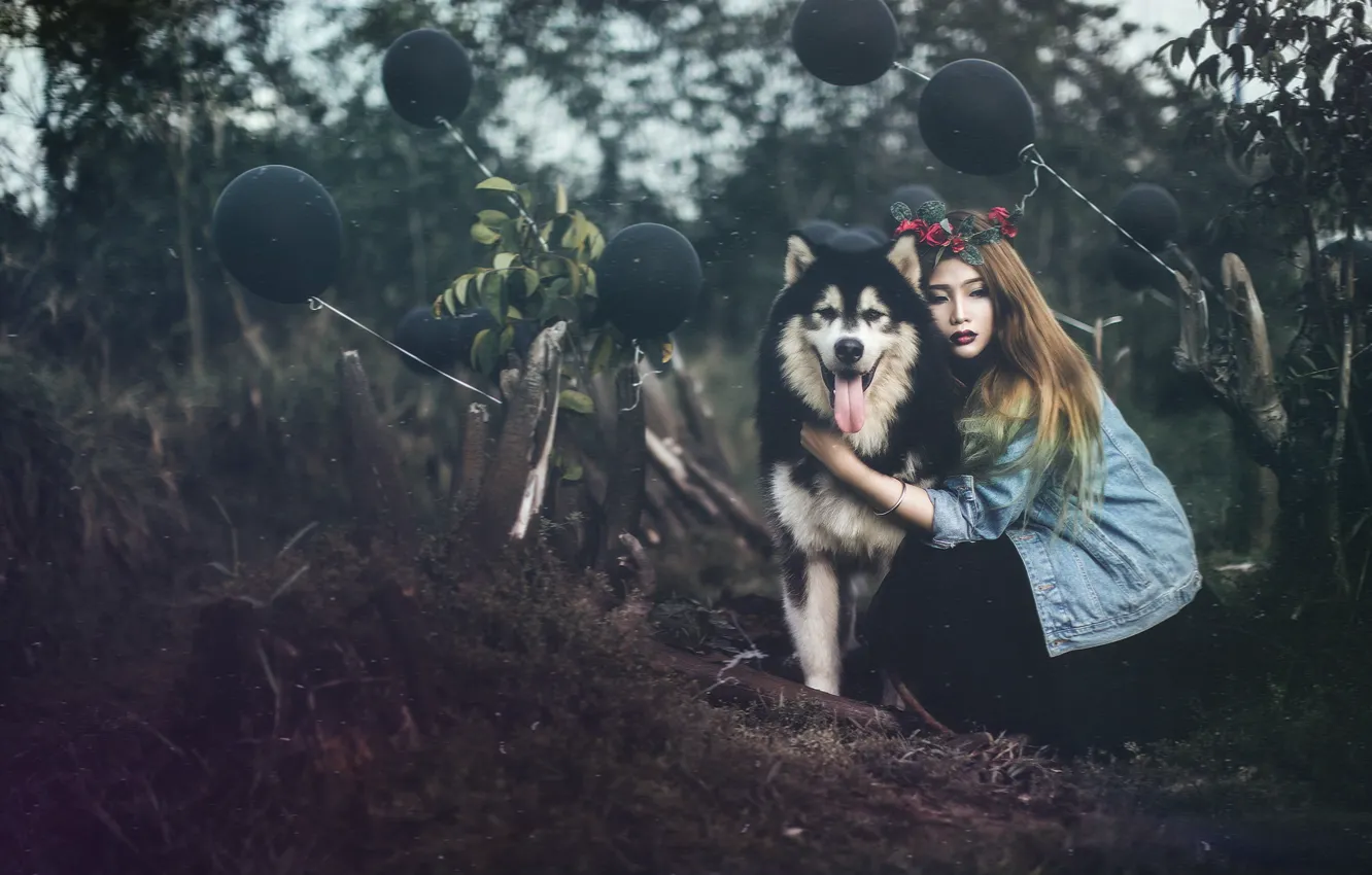 Фото обои девушка, шары, собака