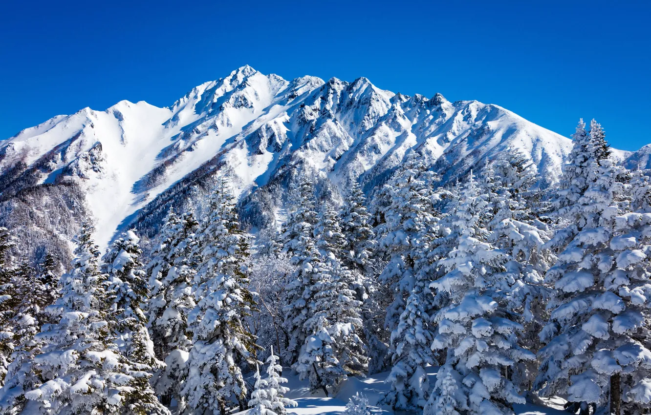 Фото обои зима, лес, небо, солнце, снег, деревья, горы, Япония