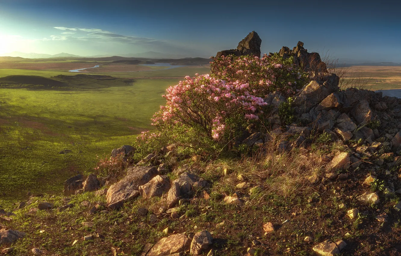 Фото обои пейзаж, закат, природа, камни, кусты, Приморский край