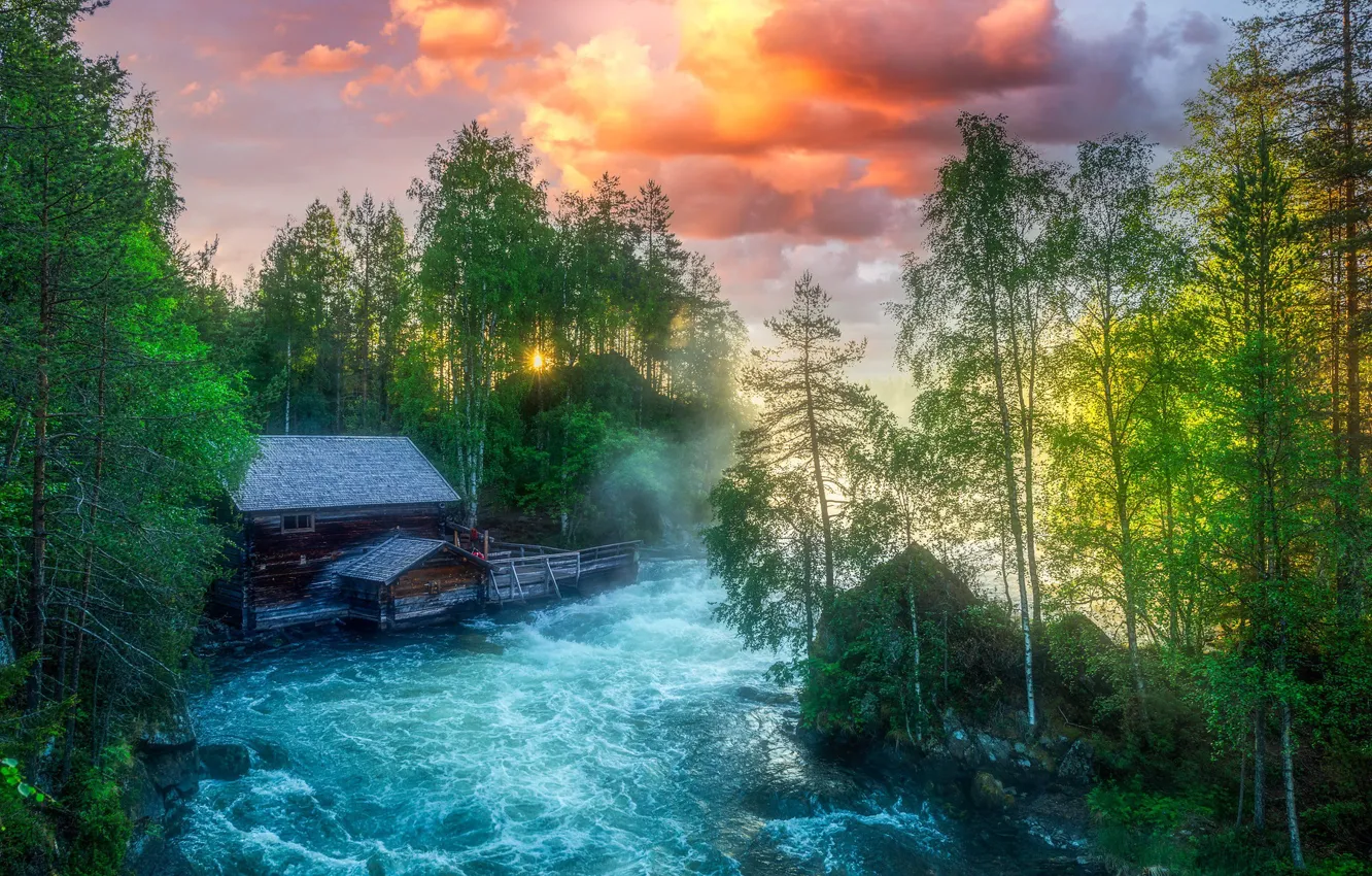 Фото обои лето, природа, река