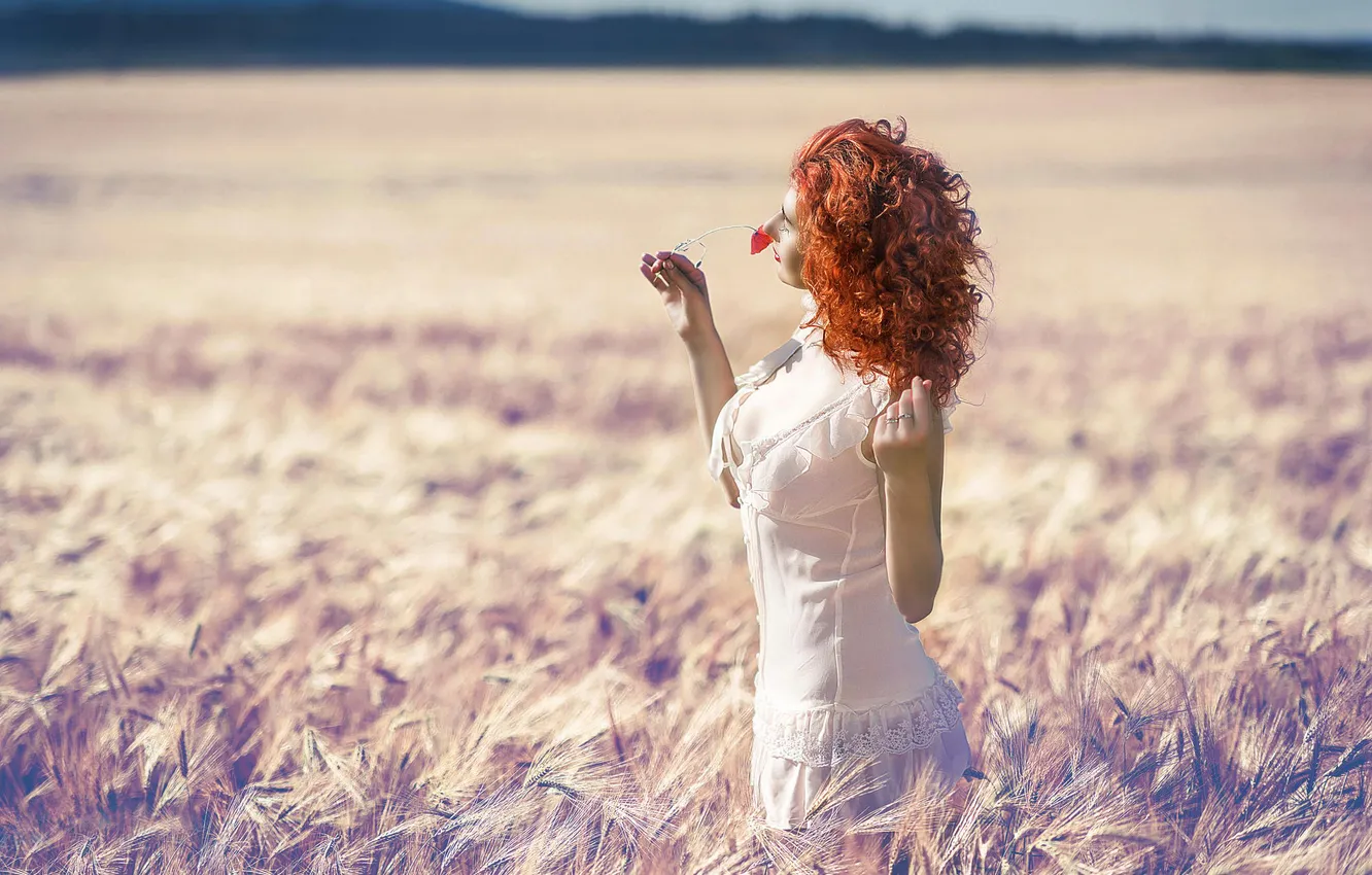 Фото обои поле, лето, солнце, цветочек, рыжеволосая девушка