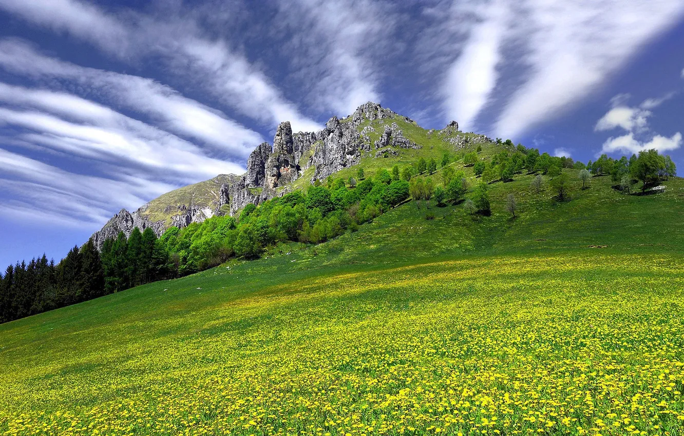 Фото обои небо, трава, облака, цветы, скала, гора
