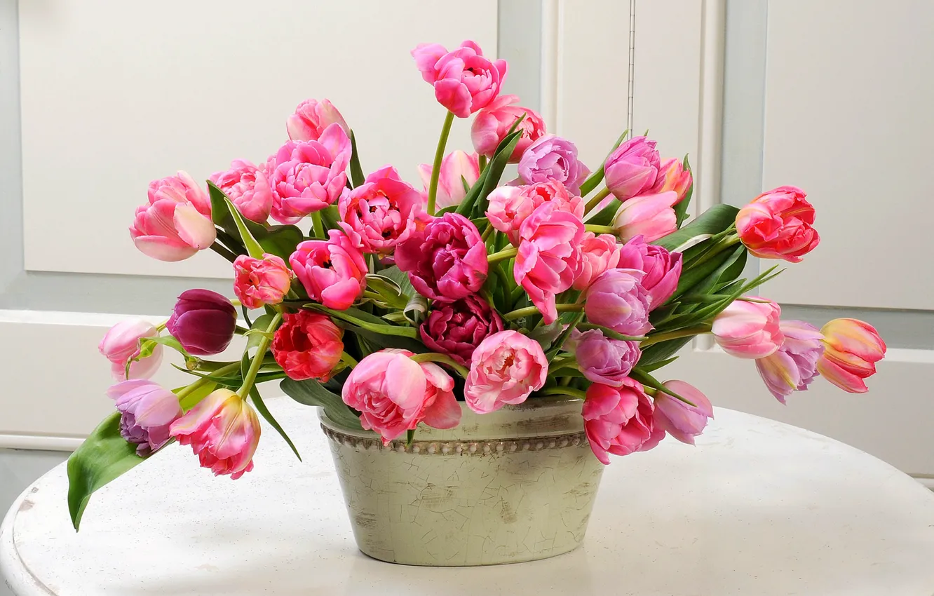 Фото обои цветы, букет, весна, тюльпаны, flowers, tulips, spring, bouquet