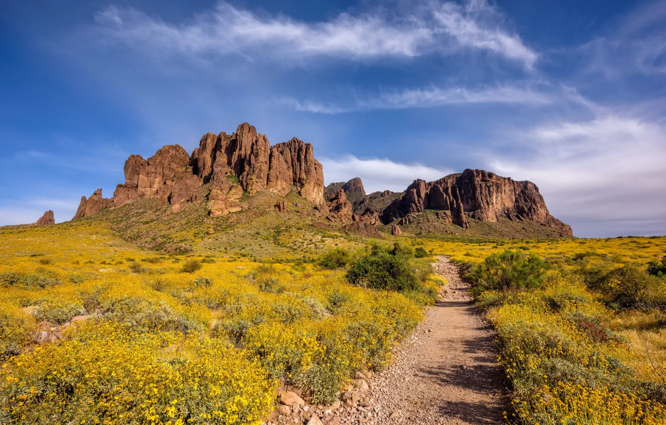 Фото обои небо, горы, скалы, США, Arizona, Superstition Mountains