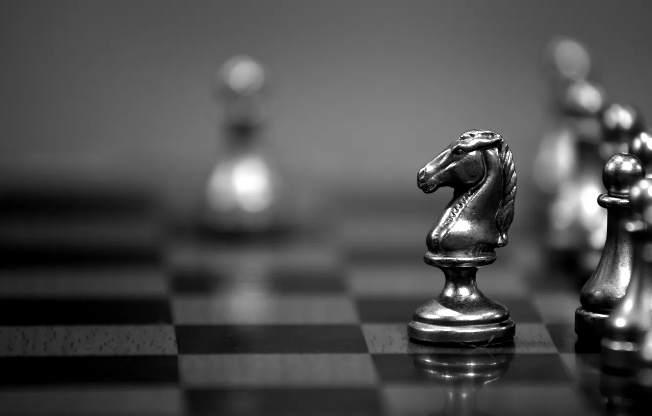 Фото обои chess, strategy, knight