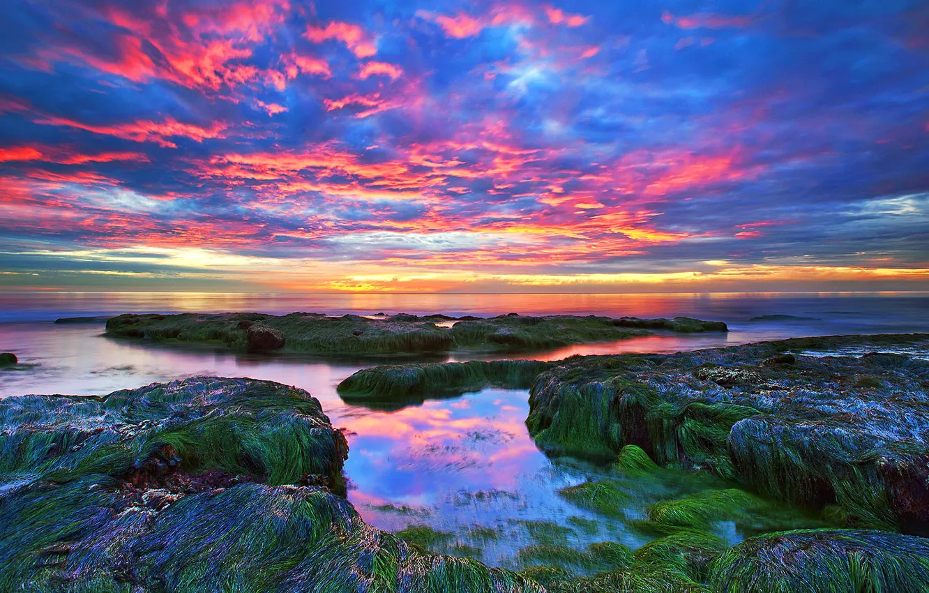 Фото обои море, небо, облака, водоросли, закат, камни, скалы