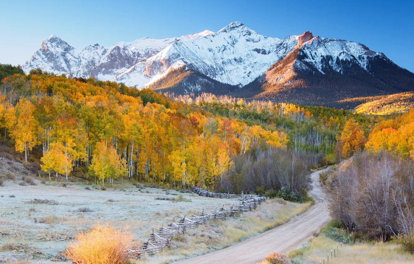 Фото обои дорога, осень, лес, горы, снежные вершины
