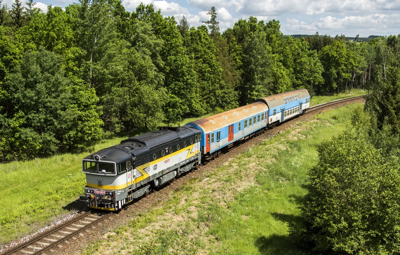 Фото обои деревья, путь, поезд, вагоны, железная дорога, локомотив, Locomotive, railroads