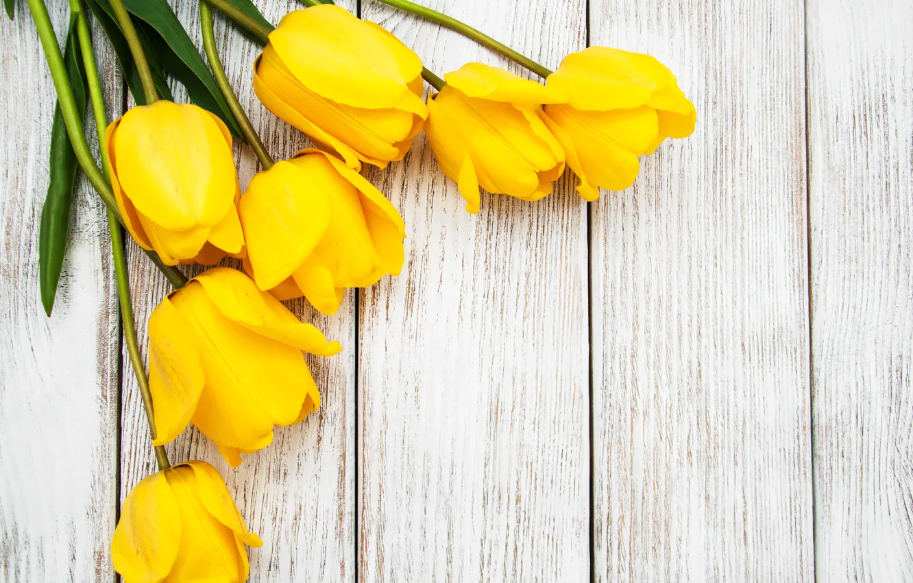 Фото обои букет, желтые, тюльпаны, wood, tulip, bouguet, Olena Rudo