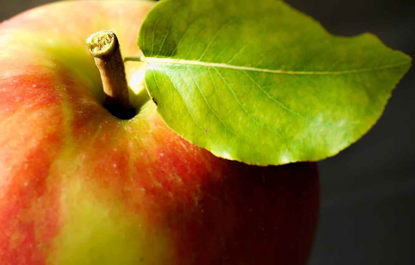 Фото обои макро, яблоко, еда, фрукт