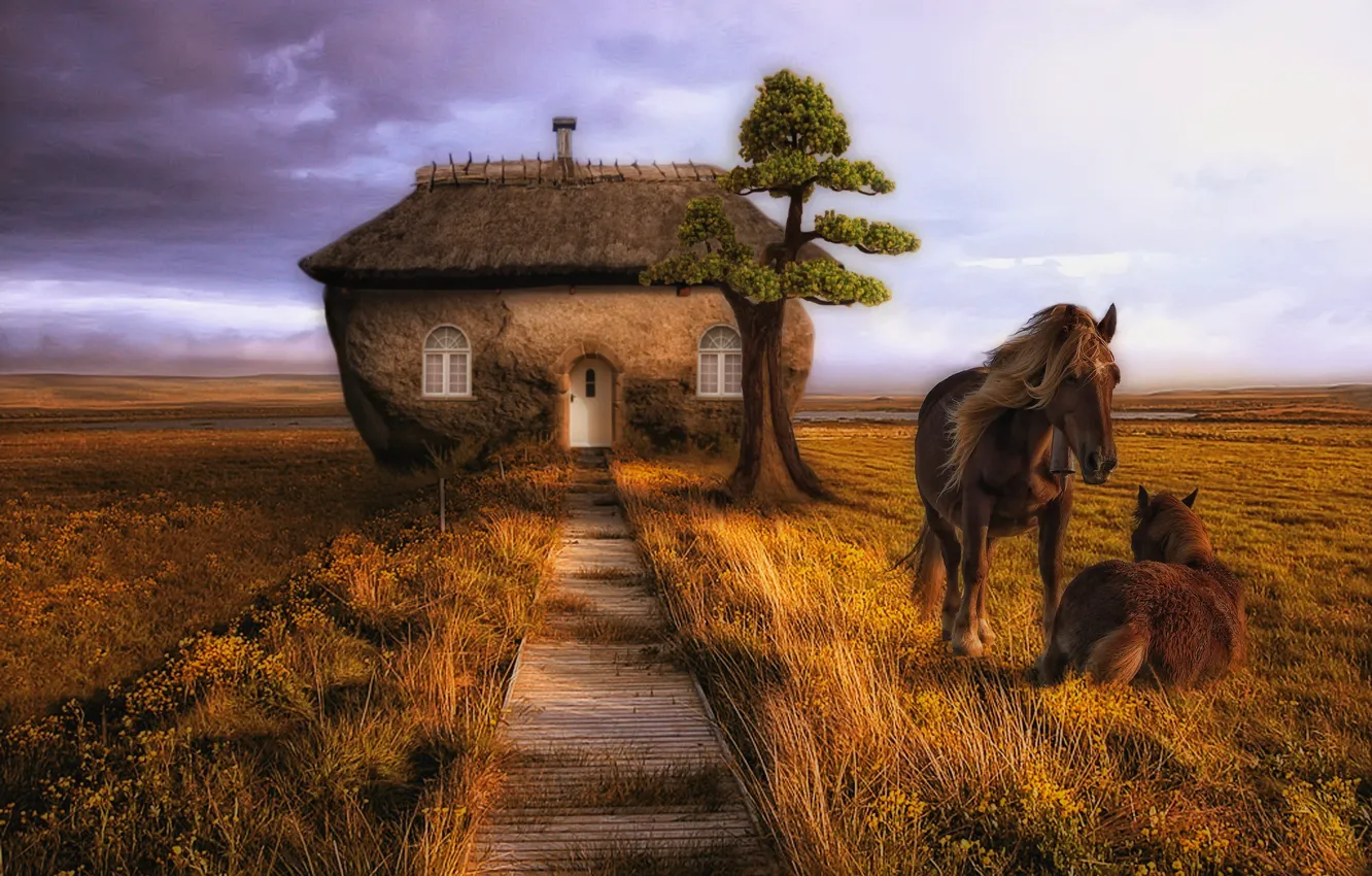 Фото обои поле, дом, дерево, конь, лошадь, тропа