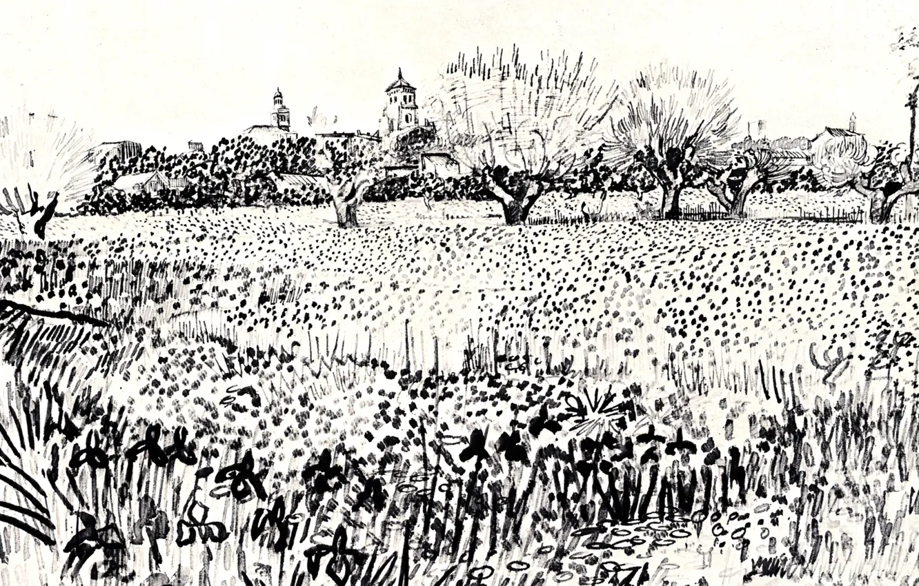 Фото обои цветы, чёрно- белое, Vincent van Gogh, Field with Flowers