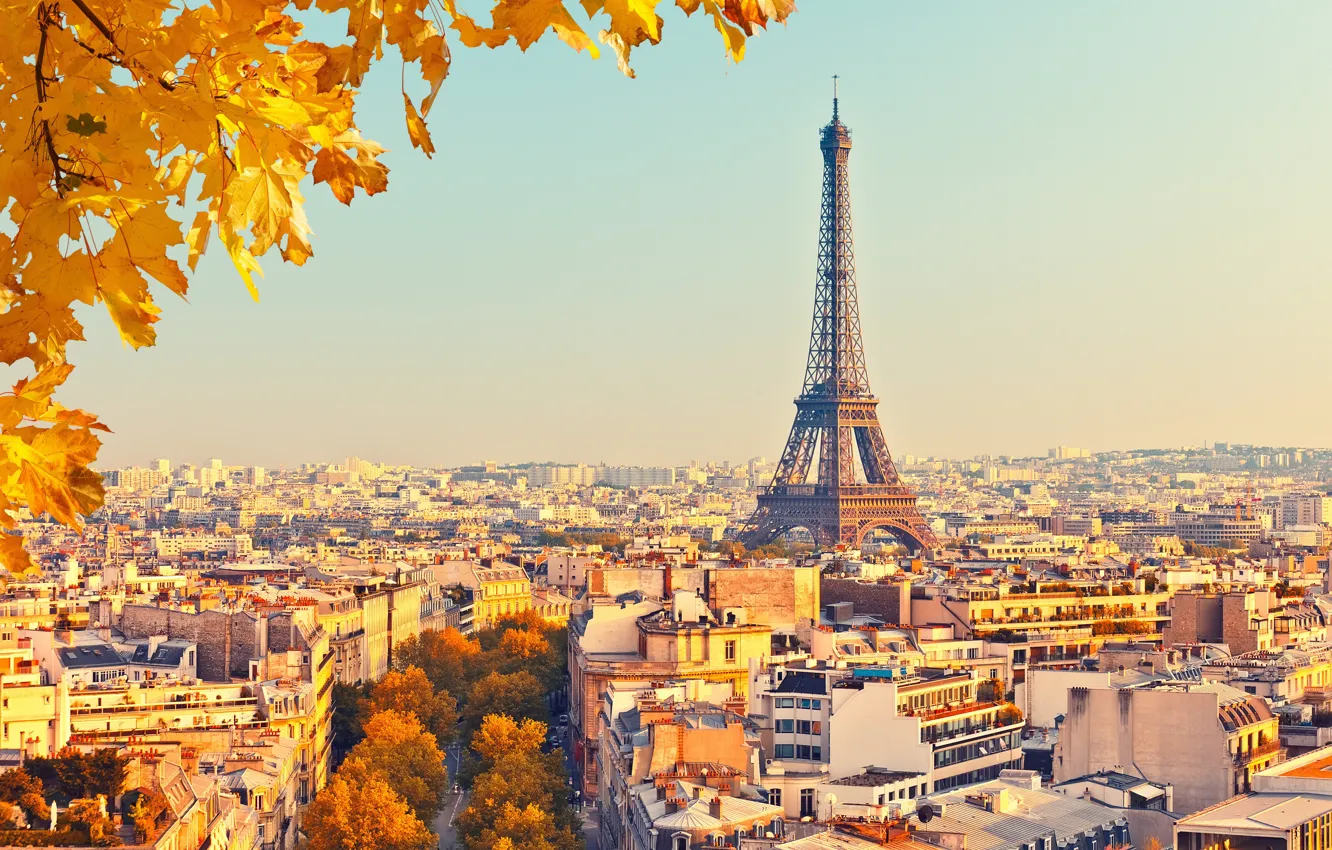 Фото обои Франция, Париж, Дома, Город, Осень, панорама, Эйфелева Башня