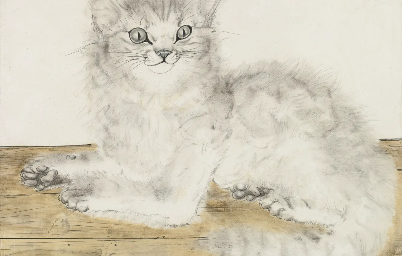 Фото обои доски, Кошка, пушистая, 1949, радостная, Цугухару, Фудзита