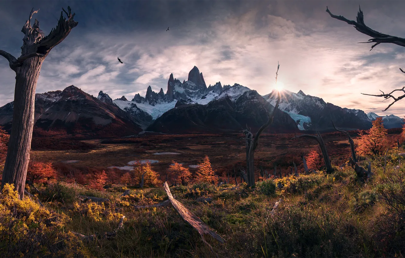 Фото обои осень, солнце, свет, птицы, Южная Америка, Патагония, горы Анды