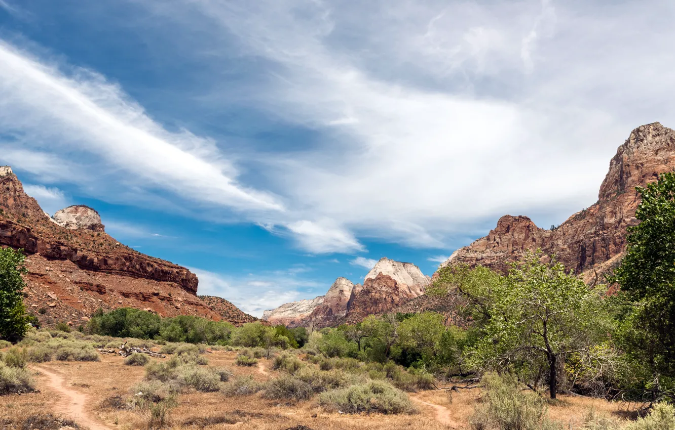 Фото обои USA, cloud, park, mountain, tree, national, trail, Utah