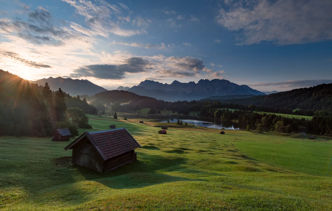 Фото обои поле, лес, лето, небо, солнце, облака, свет, горы