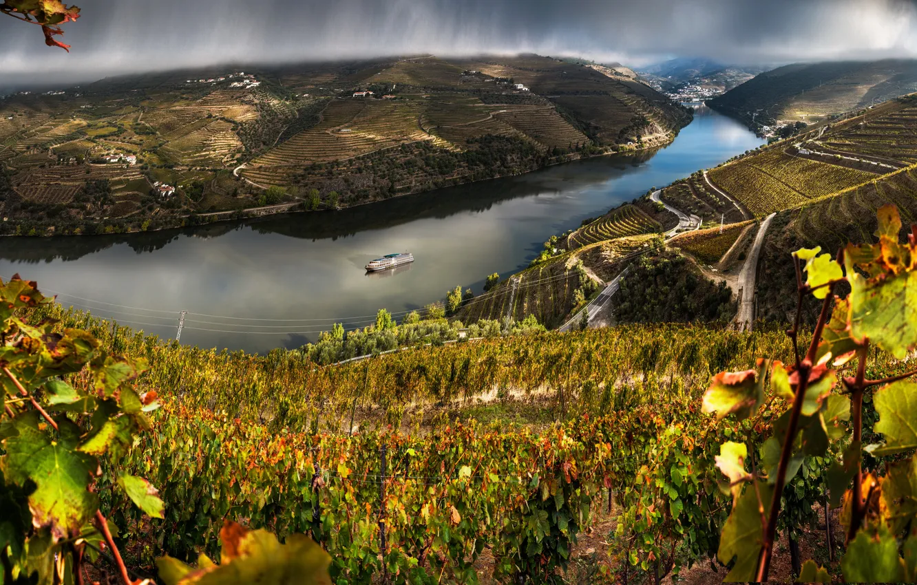 Фото обои тучи, река, дождь, поля, Португалия, плантации, теплоход, Valenca Do Douro